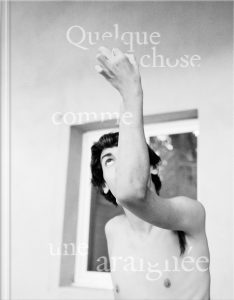 Couverture de Quelque chose comme une araignée