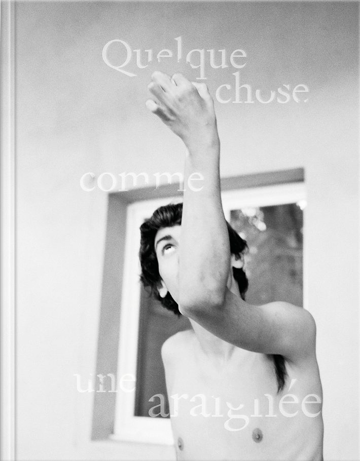 Couverture de Quelque chose comme une araignée