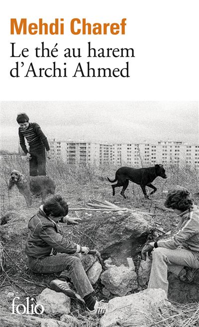 Le Thé au harem d'Archi Ahmed